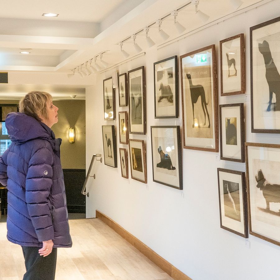 Alnwick Playhouse gallery